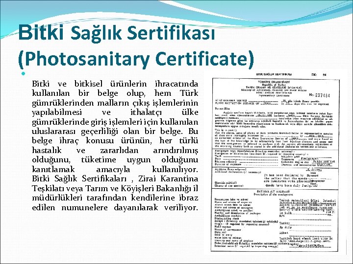 Bitki Sağlık Sertifikası (Photosanitary Certificate) Bitki ve bitkisel ürünlerin ihracatında kullanılan bir belge olup,