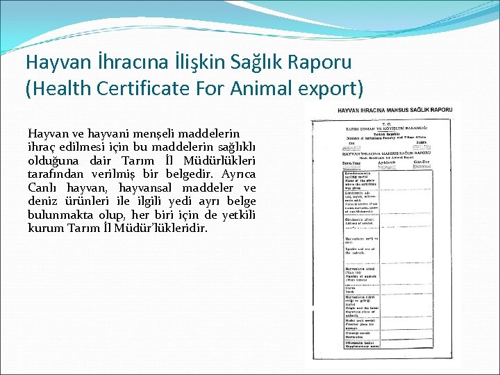 Hayvan İhracına İlişkin Sağlık Raporu (Health Certificate For Animal export) Hayvan ve hayvani menşeli
