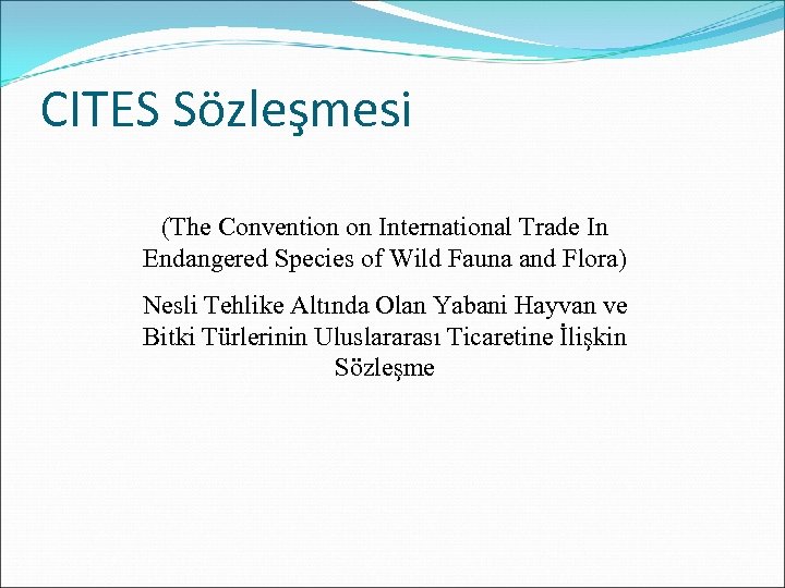 CITES Sözleşmesi (The Convention on International Trade In Endangered Species of Wild Fauna and