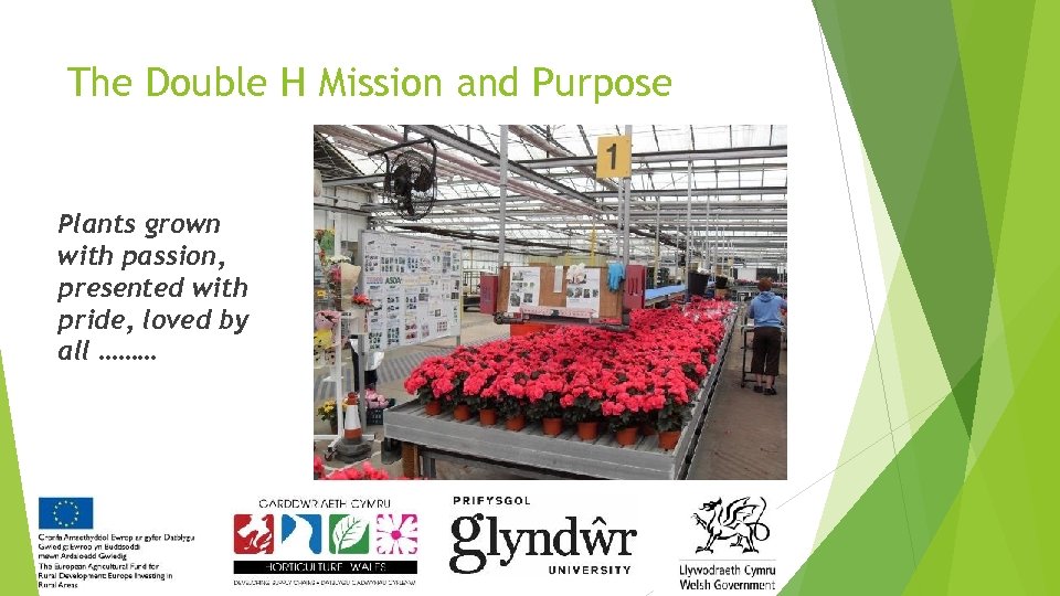 The Double H Mission and Purpose Plants grown with passion, presented with pride, loved