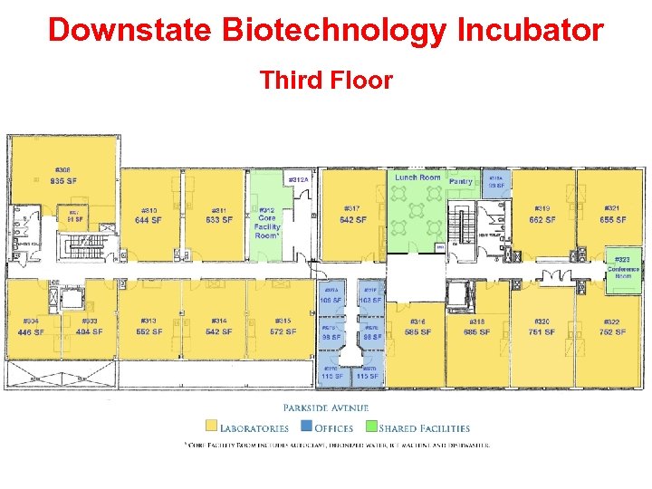 Downstate Biotechnology Incubator Third Floor 