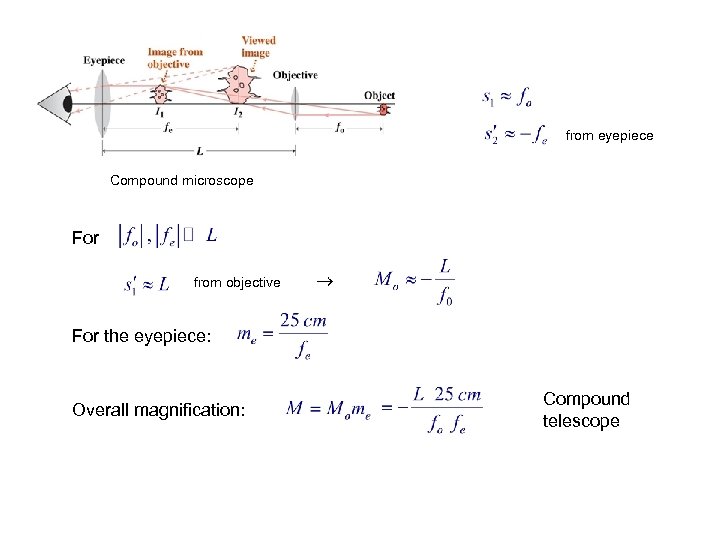 from eyepiece Compound microscope For from objective For the eyepiece: Overall magnification: Compound telescope