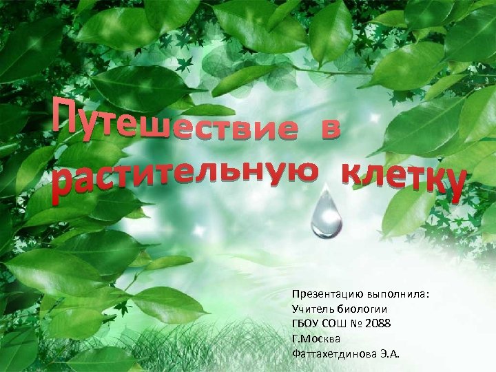 Презентацию выполнила: Учитель биологии ГБОУ СОШ № 2088 Г. Москва Фаттахетдинова Э. А. 
