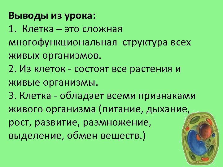 Выводы из урока: 1. Клетка – это сложная многофункциональная структура всех живых организмов. 2.