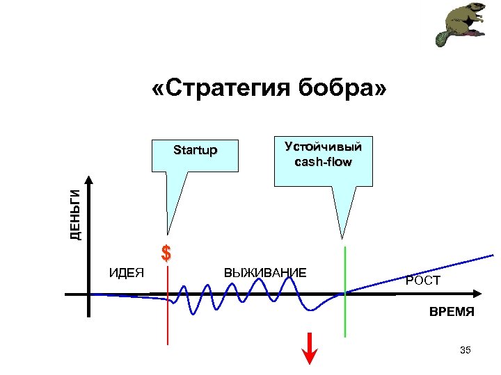  «Стратегия бобра» Устойчивый cash-flow ДЕНЬГИ Startup $ ИДЕЯ ВЫЖИВАНИЕ РОСТ ВРЕМЯ 35 