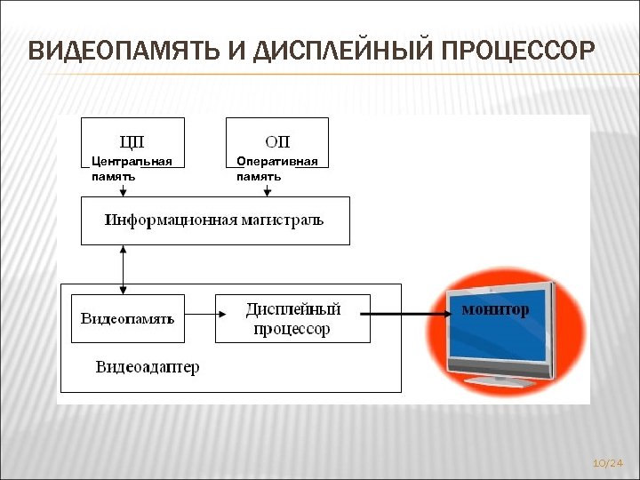 ВИДЕОПАМЯТЬ И ДИСПЛЕЙНЫЙ ПРОЦЕССОР Центральная память Оперативная память 10/24 