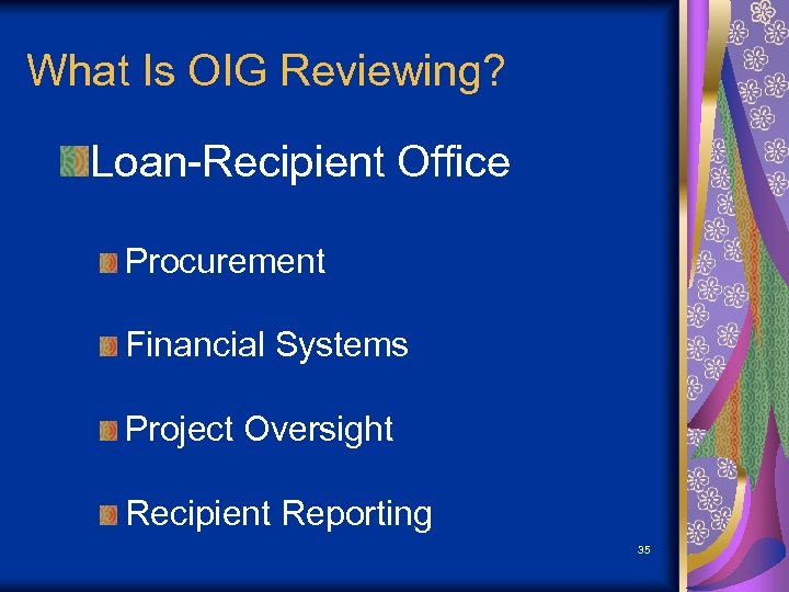 What Is OIG Reviewing? Loan-Recipient Office Procurement Financial Systems Project Oversight Recipient Reporting 35