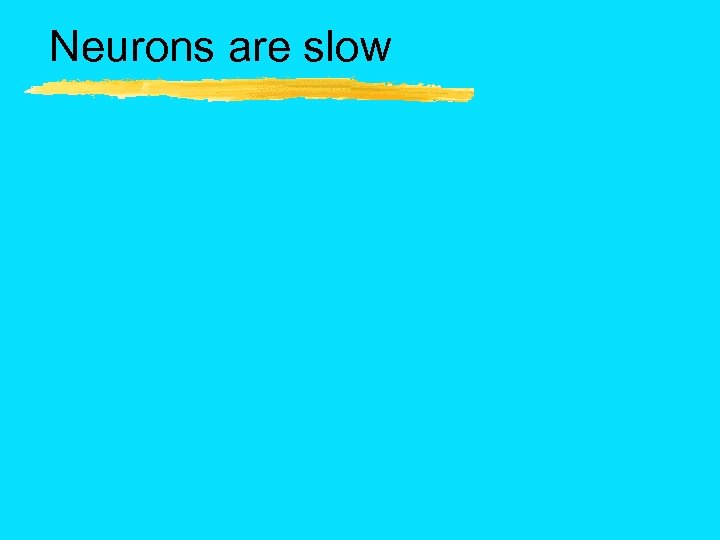 Neurons are slow 