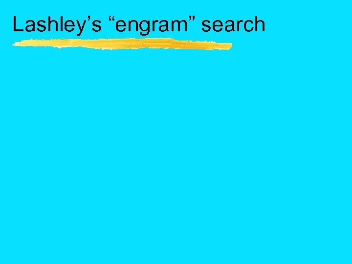 Lashley’s “engram” search 