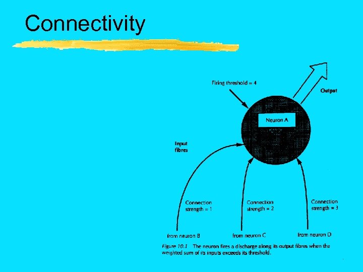 Connectivity 