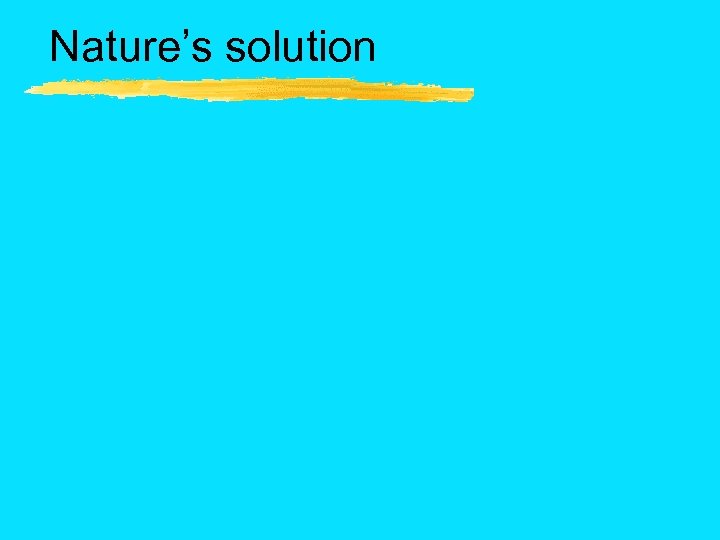 Nature’s solution 