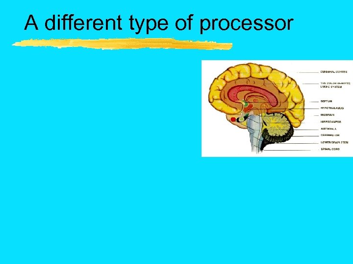 A different type of processor 