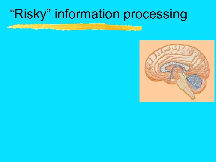 “Risky” information processing 