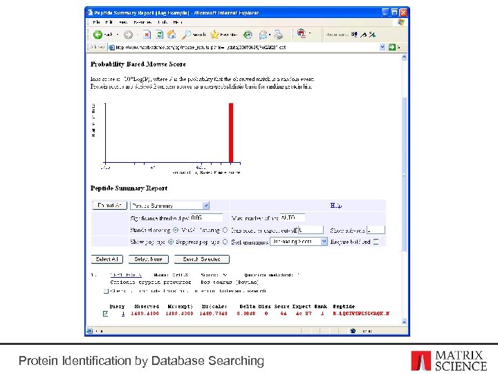 Protein Identification by Database Searching 