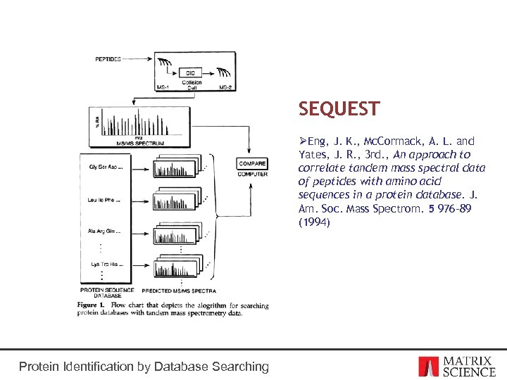 SEQUEST ØEng, J. K. , Mc. Cormack, A. L. and Yates, J. R. ,