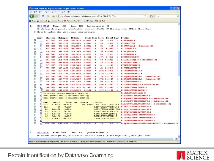 Protein Identification by Database Searching 