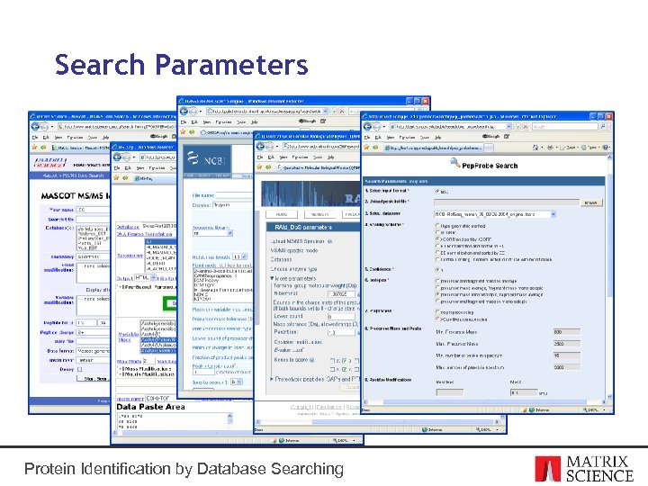 Search Parameters Protein Identification by Database Searching 