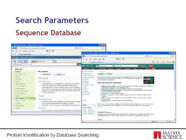 Search Parameters Sequence Database Protein Identification by Database Searching 