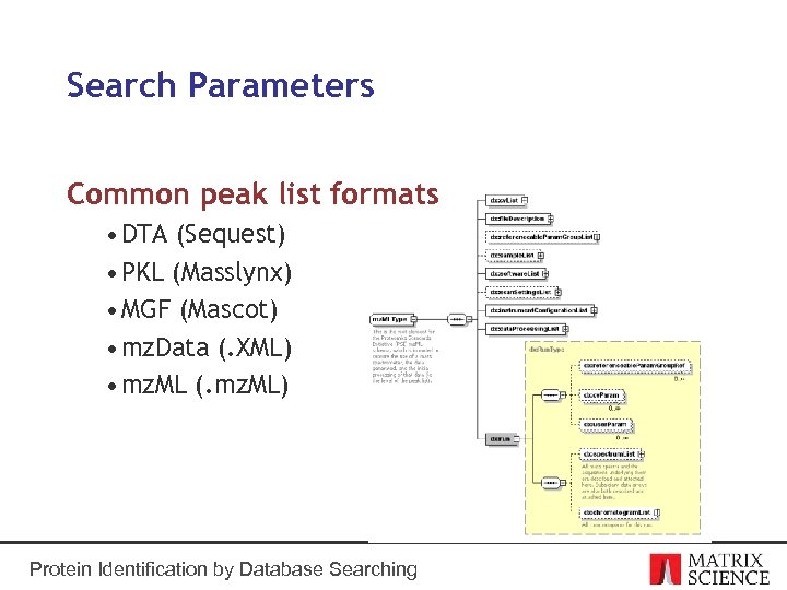 Search Parameters Common peak list formats • DTA (Sequest) • PKL (Masslynx) • MGF