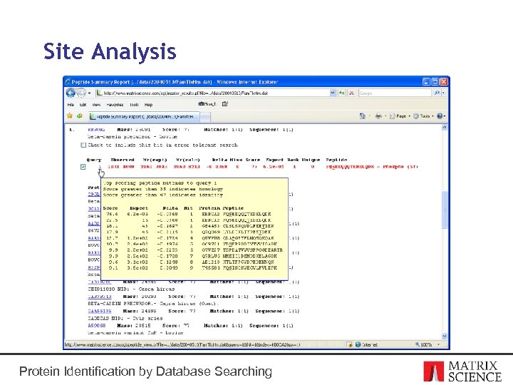 Site Analysis Protein Identification by Database Searching 