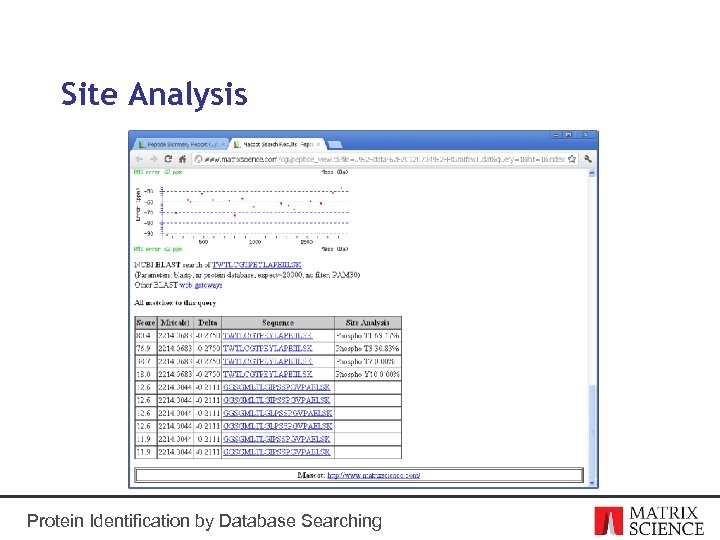 Site Analysis Protein Identification by Database Searching 