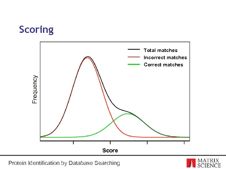 Scoring Total matches Incorrect matches Correct matches Score Protein Identification by Database Searching 