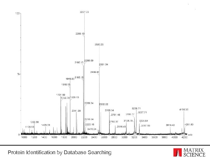 Protein Identification by Database Searching 