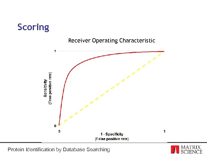 Scoring Receiver Operating Characteristic Protein Identification by Database Searching 