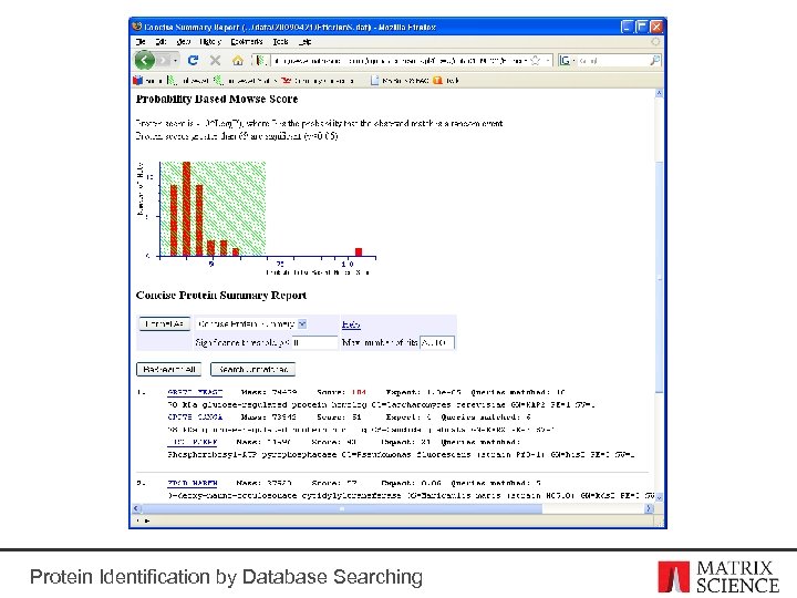 Protein Identification by Database Searching 