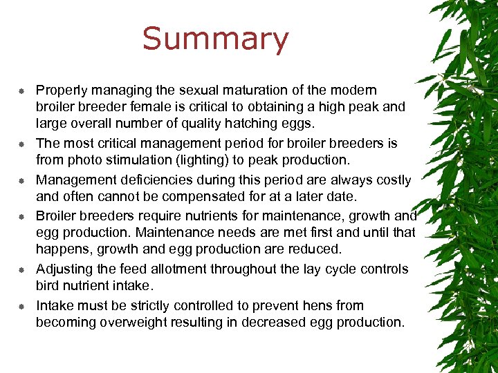 Summary Properly managing the sexual maturation of the modern broiler breeder female is critical
