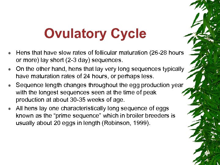 Ovulatory Cycle Hens that have slow rates of follicular maturation (26 -28 hours or