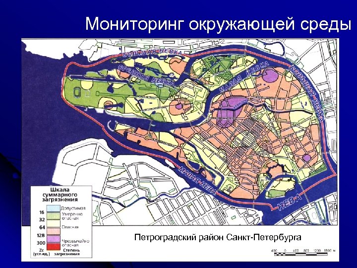 Мониторинг окружающей среды Петроградский район Санкт-Петербурга 