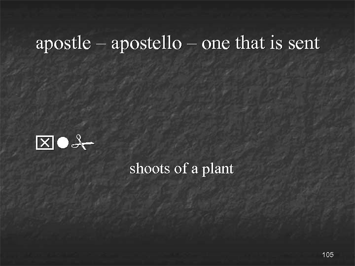 apostle – apostello – one that is sent xl# shoots of a plant 105