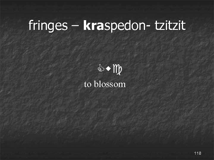 fringes – kraspedon- tzitzit Cwc to blossom 118 