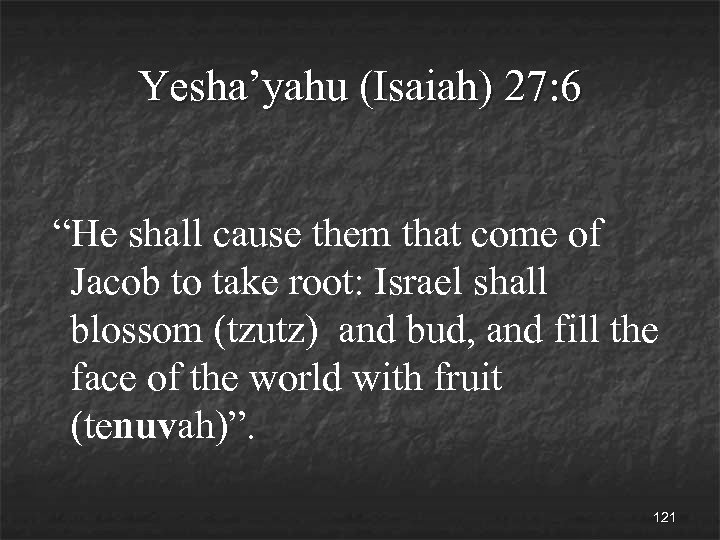 Yesha’yahu (Isaiah) 27: 6 “He shall cause them that come of Jacob to take