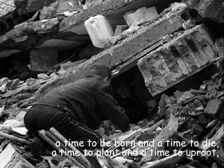 a time to be born and a time to die, a time to plant