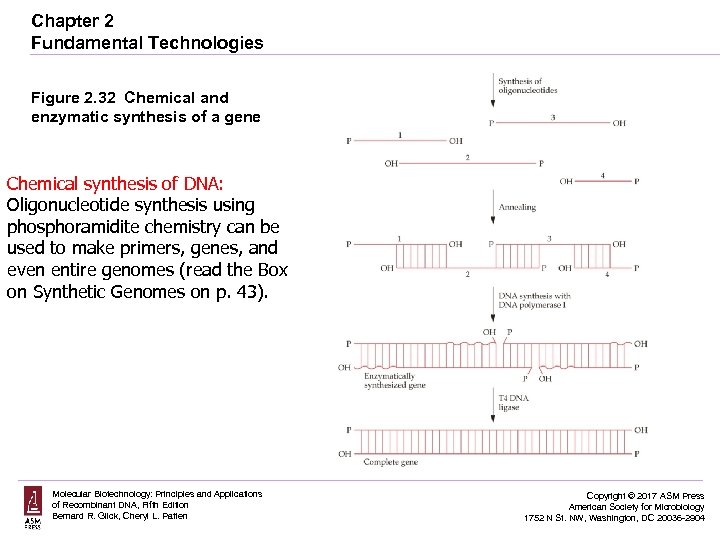 Chapter 2 Fundamental Technologies Figure 2. 32 Chemical and enzymatic synthesis of a gene