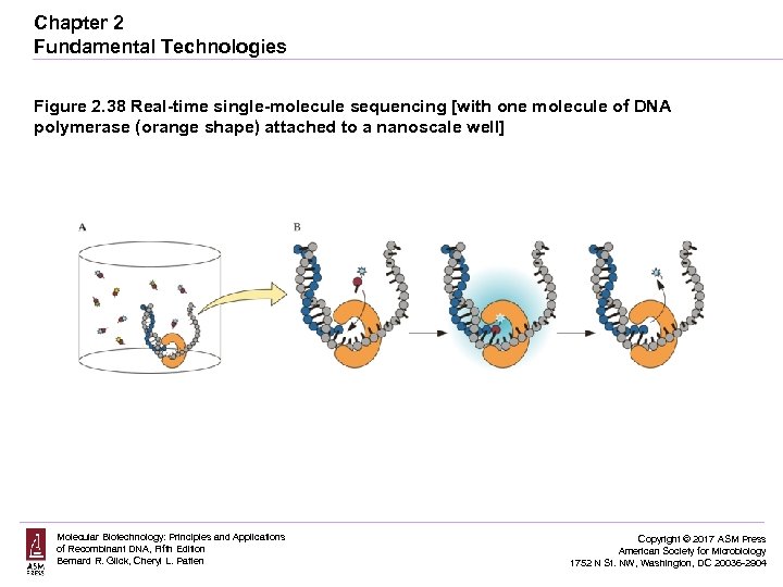 Chapter 2 Fundamental Technologies Figure 2. 38 Real-time single-molecule sequencing [with one molecule of