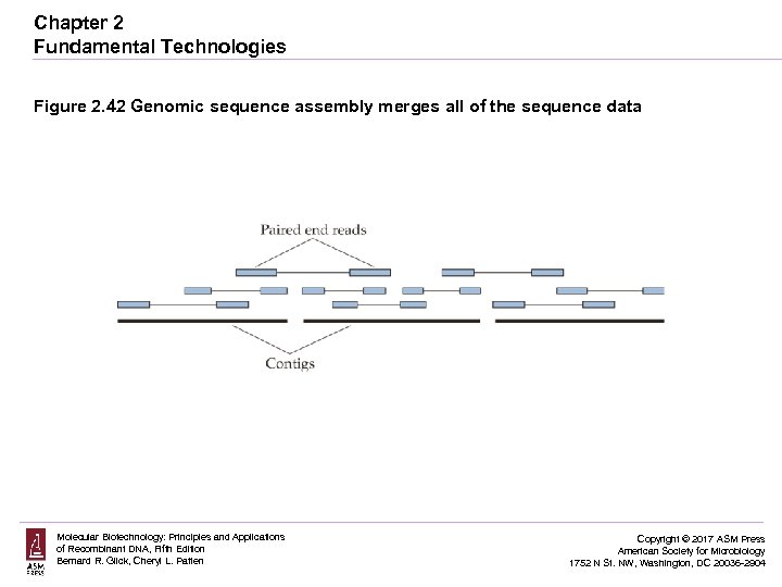 Chapter 2 Fundamental Technologies Figure 2. 42 Genomic sequence assembly merges all of the
