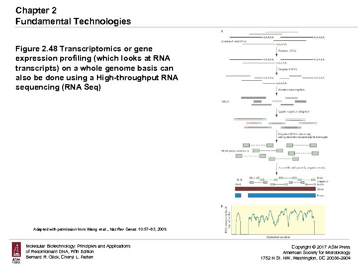 Chapter 2 Fundamental Technologies Figure 2. 48 Transcriptomics or gene expression profiling (which looks