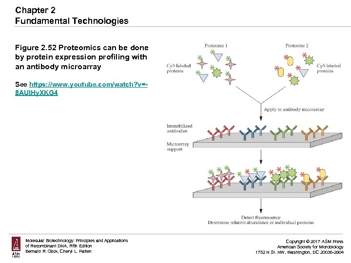 Chapter 2 Fundamental Technologies Figure 2. 52 Proteomics can be done by protein expression