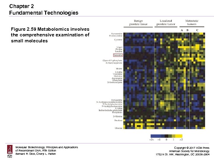 Chapter 2 Fundamental Technologies Figure 2. 59 Metabolomics involves the comprehensive examination of small