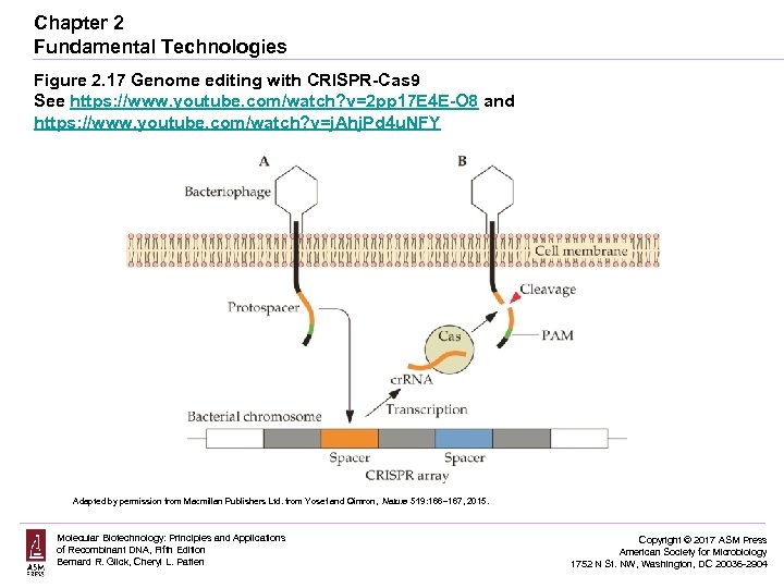 Chapter 2 Fundamental Technologies Figure 2. 17 Genome editing with CRISPR-Cas 9 See https: