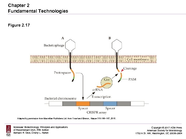 Chapter 2 Fundamental Technologies Figure 2. 17 Adapted by permission from Macmillan Publishers Ltd.
