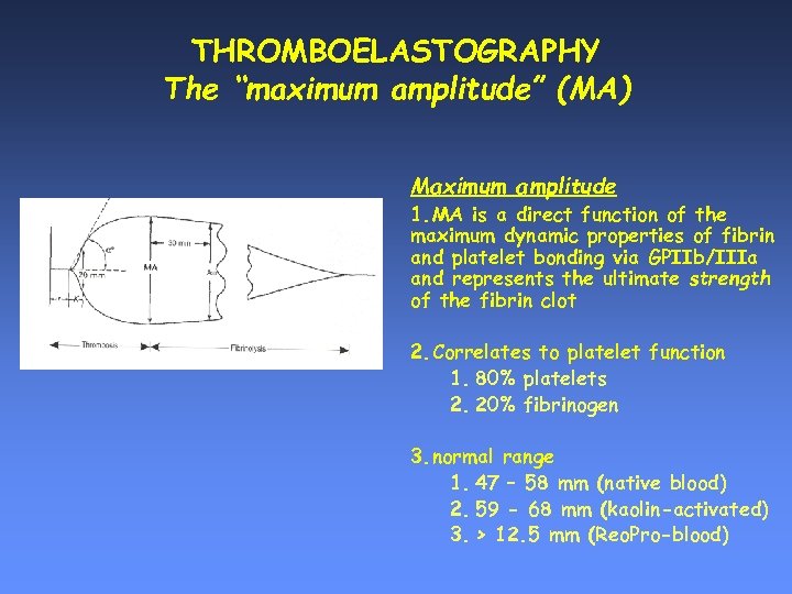 THROMBOELASTOGRAPHY The “maximum amplitude” (MA) Maximum amplitude 1. MA is a direct function of