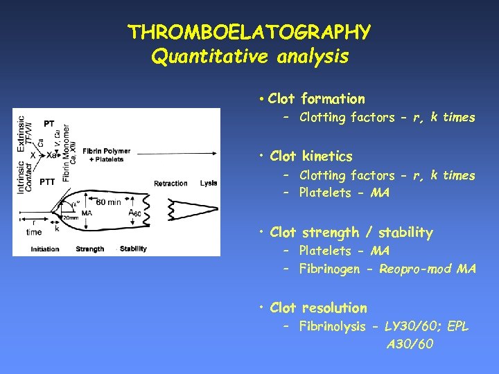 THROMBOELATOGRAPHY Quantitative analysis • Clot formation – Clotting factors - r, k times •