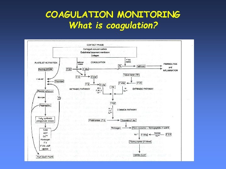 COAGULATION MONITORING What is coagulation? 