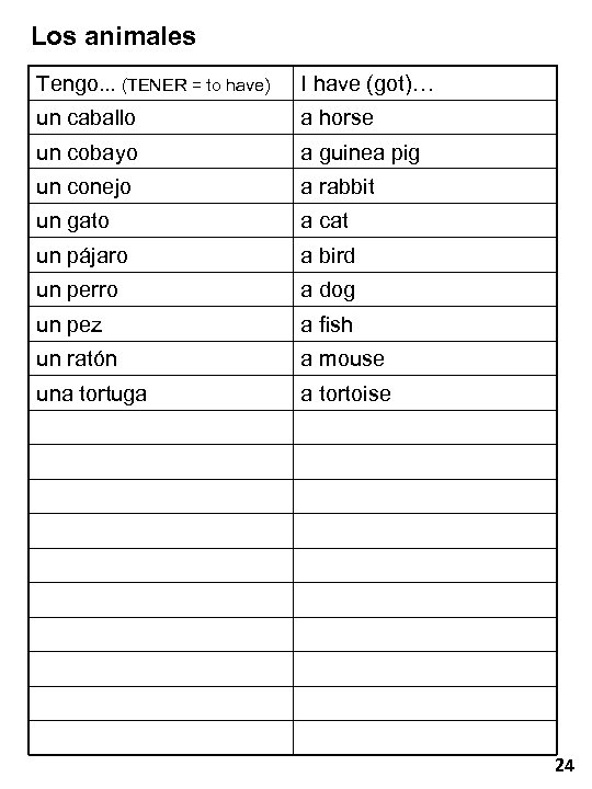 Los animales Tengo… (TENER = to have) I have (got)… un caballo a horse