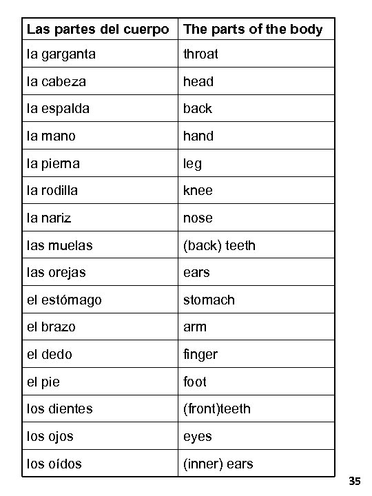 Las partes del cuerpo The parts of the body la garganta throat la cabeza