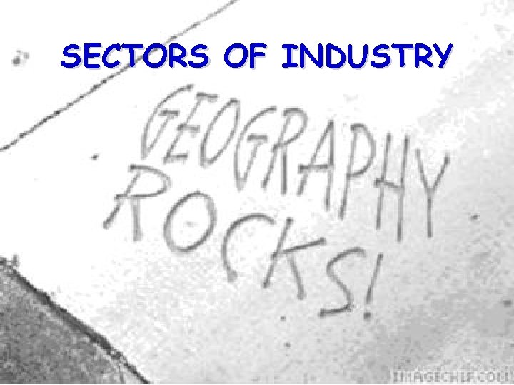 SECTORS OF INDUSTRY 